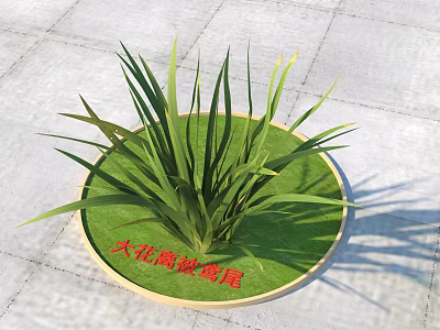 Large-flowered Iris Plant With Lush Green Leaves In Circular Planter With Green Grass 3d model