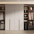 Modern Wardrobe Interior Design With Hanging Rods Drawers Open Shelves And Storage Boxes