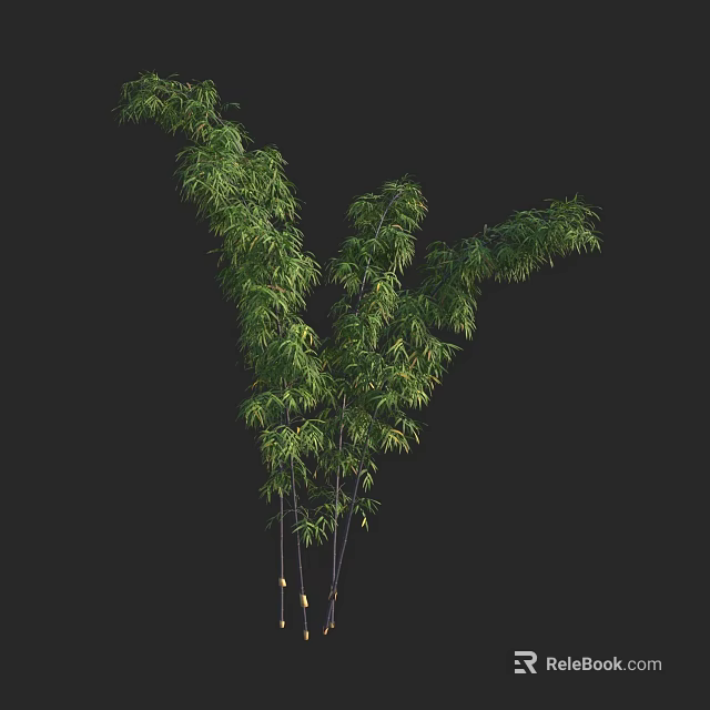 Lush Green Bamboo Plant With Fresh Leaves And Tall Stems On Black Background 3d model 