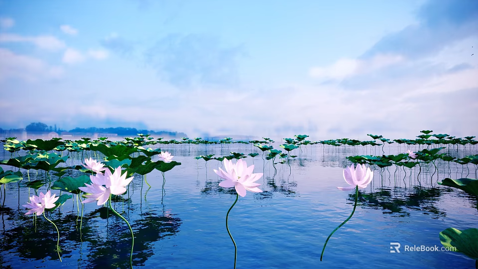 Beautiful Pink Lotus Flowers and Green Leaves on Water Surface with Blue Sky White Clouds 3d model 