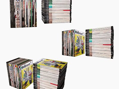Stacks of Books and Magazines with Various Colorful Covers Piled Together 3d model