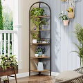 Tiered Plant Stand With Various Green Plants Hanging Planters And Watering Can In Indoor Garden