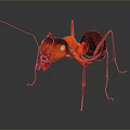 Realistic Red Ant 3D Render With Detailed Head Body And Long Legs