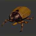 Yellow And Dark Brown Beetle With Shiny Shell And Legs On Dark Background 3d model