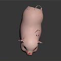 Cute Pink Piglet Standing On Black Background With Reflective Surface 3d model