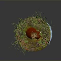 Miniature Garden Plants With Red Mushrooms Green Grass And Small Flowers