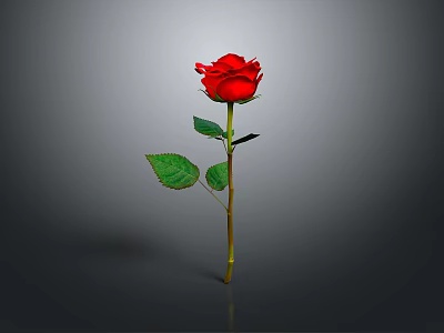 Vibrant Red Rose Plant With Green Leaves And Stem On Gray Background 3d model