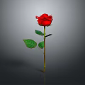 Vibrant Red Rose Plant With Green Leaves And Stem On Gray Background