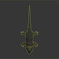 Detailed Gray Spiky Lizard With Yellow Head Orange Eyes And Reflection On Gray Background
