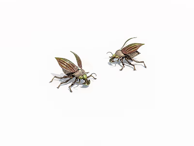 Two Striped Green Brown Beetles With Transparent Wings On White Background 3d model