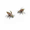 Two Striped Green Brown Beetles With Transparent Wings On White Background