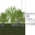 Weeping Willow Plant Combination with Green Grass Large Rocks and Blue Sky