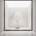 Leafless Tree in Bright White Room with Slender Trunk Spreading Branches on Marble Platform 3d model