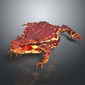Red Brown Spotted Toad With Textured Skin Isolated On Gray Background 3d model