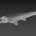 Prehistoric Mosasaurus Marine Reptile With Open Mouth And Sharp Teeth