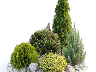 Various Types of Shrubs with Different Shapes and Green Foliage Surrounded by Decorative Stones 3d model