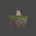Tree Stump With Black Stone And White Bowl On Green Grass With Soil