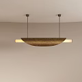 Modern Abstract Pendant Light with Curved Design for Interior Hanging Lighting 3d model