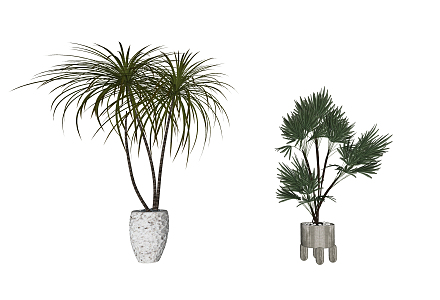 Modern Potted Plant 3d model