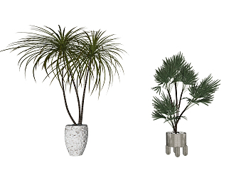 Modern Potted Plant 3d model