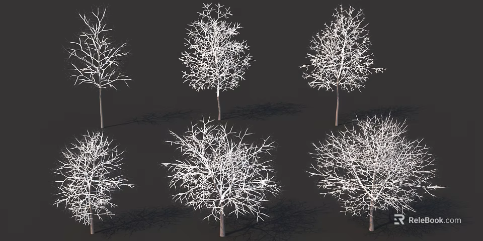 Bare Branch Leafless Trees in Different Shapes on Dark Background Collection 3d model