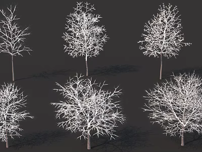 Bare Branch Leafless Trees in Different Shapes on Dark Background Collection 3d model