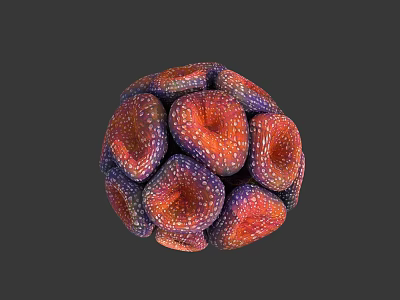 Coral Polyps Forming Vibrant Spherical Structure With Red Purple And White Spots 3d model