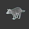 Realistic Raccoon 3D Model Standing With Gray Fur And Striped Tail
