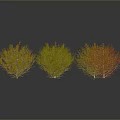 Three Leafless Trees With Gray Gradient Background And Ground Reflections