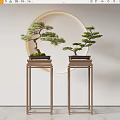 Indoor Bonsai Trees Placed On Wooden Stands With Circular Mirror Background