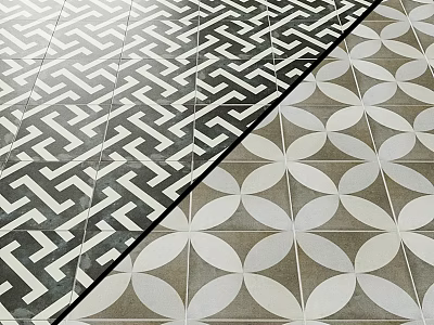 Black White Geometric Maze And Beige Brown Floral Design Floor Tiles With Dividing Line 3d model