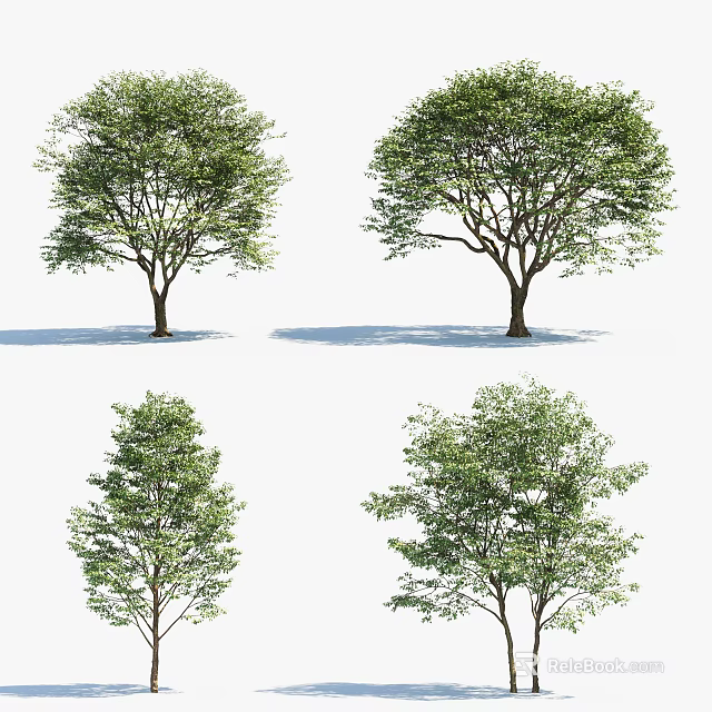 Different Arbor Tree Varieties With Lush Green Foliage and Unique Shapes 3d model