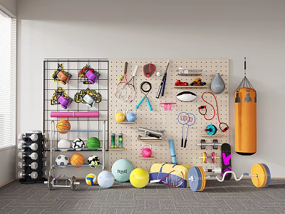 Organized Sports Equipment Display with Pegboard Wall Various Balls Dumbbells Punching Bag Jump Ropes 3d model