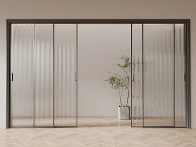Modern Glass Casement Doors With Vertical Stripes Black Frame Green Plant And Patterned Wooden Floor 3d model