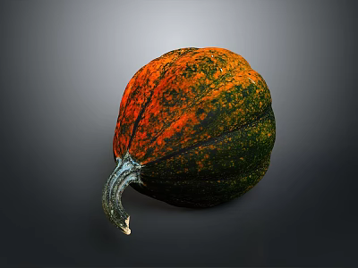 Vibrant Orange And Green Pumpkin With Curved Stem For Home Decoration 3d model