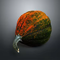 Vibrant Orange And Green Pumpkin With Curved Stem For Home Decoration