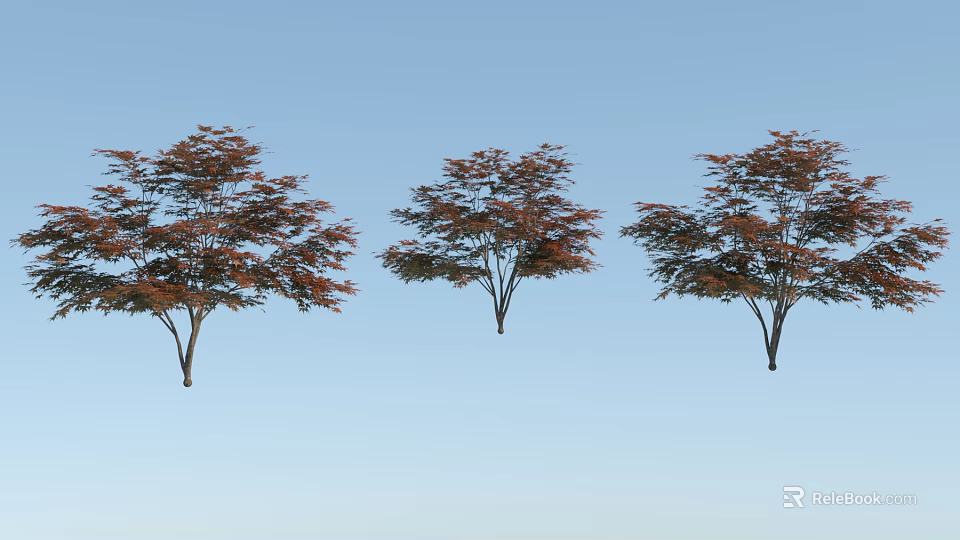Three Arbor Trees with Red Brown Leaves and Spreading Crowns Against Blue Sky 3d model 