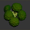 cauliflower cauliflower cauliflower cauliflower cauliflower cauliflower cauliflower vegetables fruits and vegetables fresh fruits and vegetables seasonal fruits and vegetables 3d model