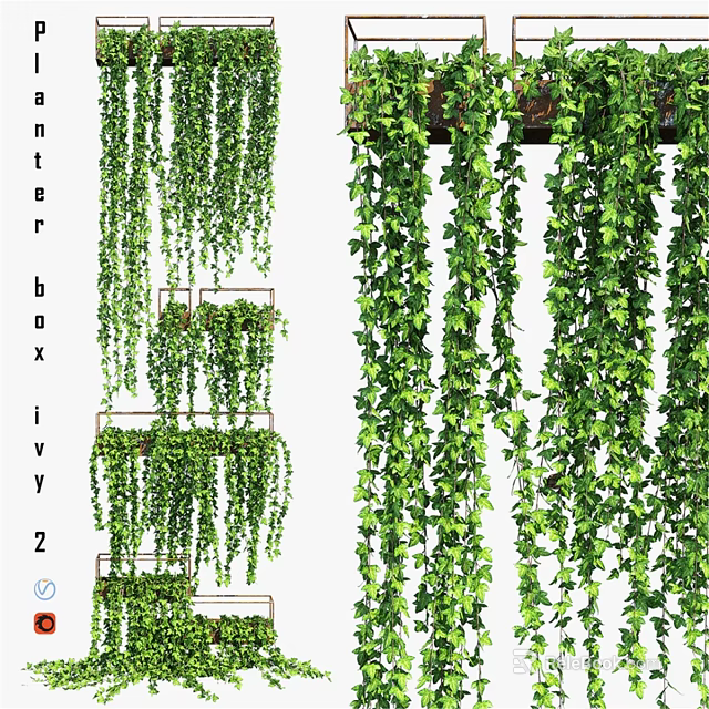 Green Ivy Hanging Decorative Ornament Set With Shelf And Cascading Vines 3d model 