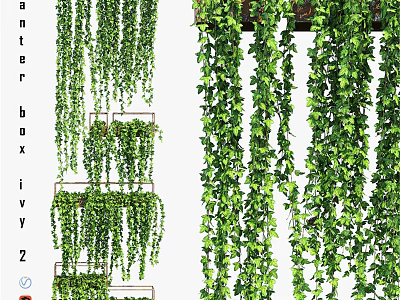 Green Ivy Hanging Decorative Ornament Set With Shelf And Cascading Vines 3d model