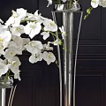 Elegant White Orchids in Tall Metal Vases Against Dark Wall and Wooden Floor