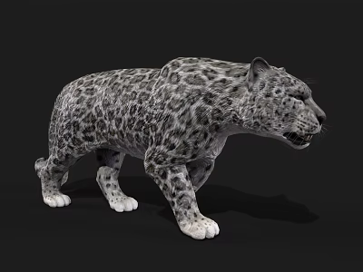 Realistic Snow Leopard 3D Model With Leopard Print In Standing Pose On Black Background 3d model