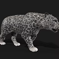 Realistic Snow Leopard 3D Model With Leopard Print In Standing Pose On Black Background 3d model
