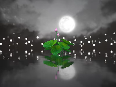 Pink Lotus Flower and Green Leaves Under Full Moon with Water Reflection and Distant Lights 3d model