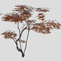 Elegant Arbor With Red Leaves And Curved Trunks In Garden Landscape