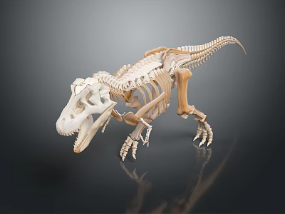 Detailed Dinosaur Skeleton Display Model With Realistic Bone Structure And Scientific Features 3d model