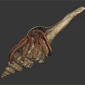 Modern Hermit Crab Conch Crab 3d model