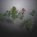 Various Types of Trees with Green and Red Leaves in Different Shapes on Grey Background