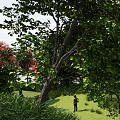 Park Landscape With Lush Green Trees Red Leaves Blue Sky And Person On Grass