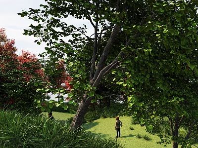 Park Landscape With Lush Green Trees Red Leaves Blue Sky And Person On Grass 3d model